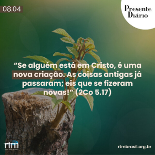 Nova criação